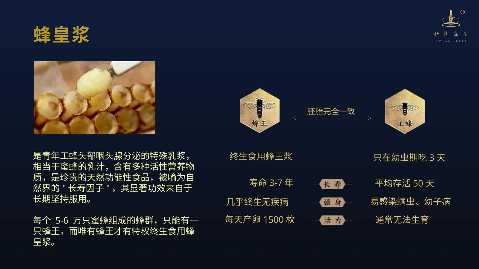 秘性皇浆产品介绍 13