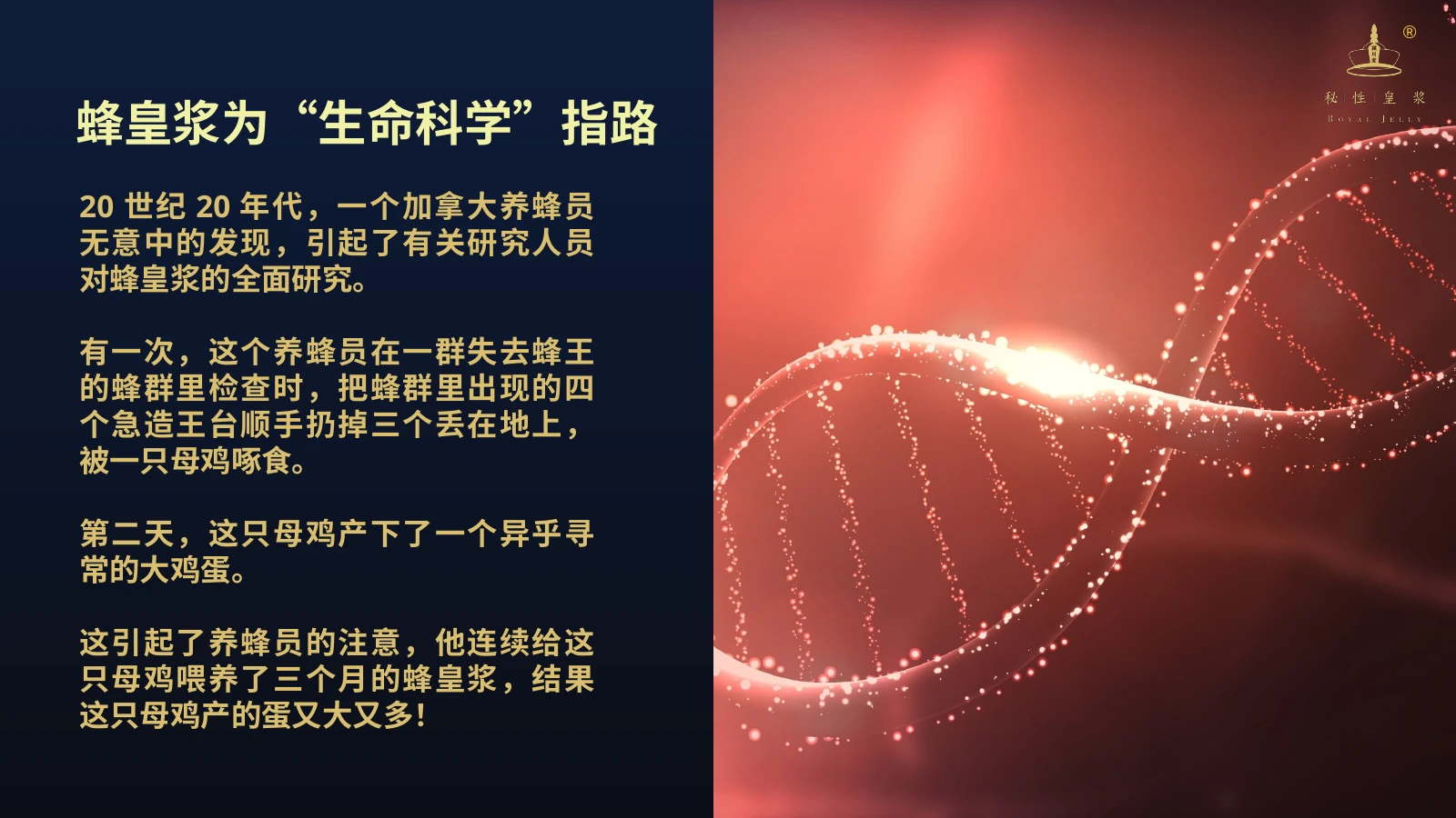 秘性皇浆产品介绍 14
