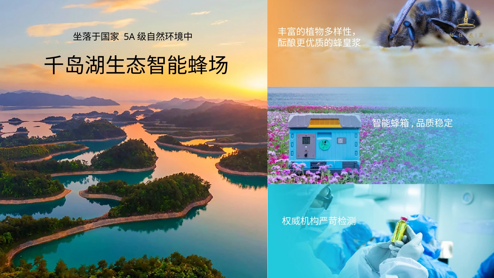 秘性皇浆产品介绍 18